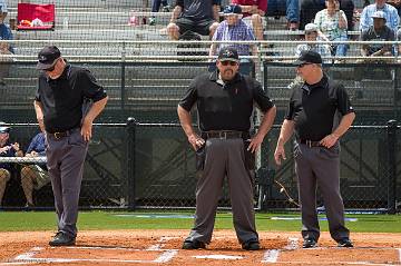 DHSBaseballvsTLHanna  3